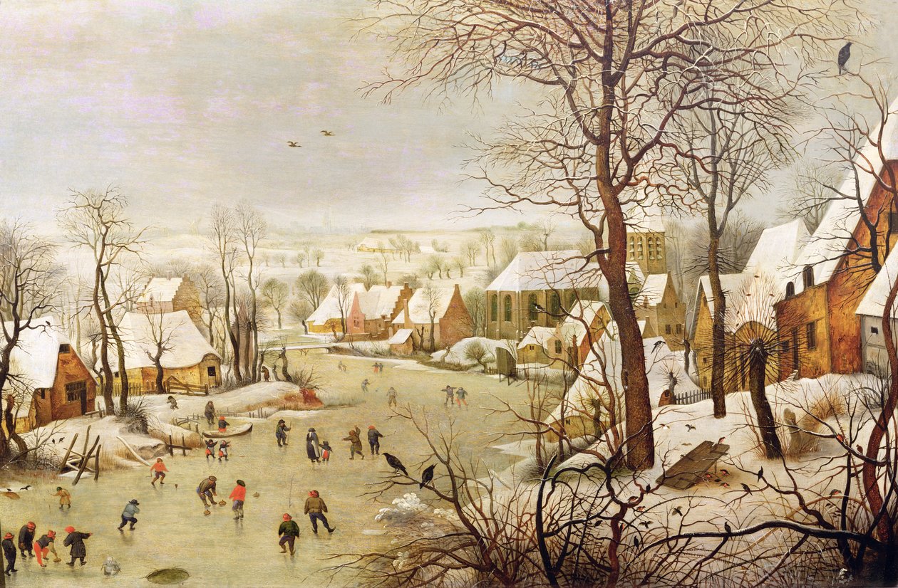 Vogelval door Pieter Brueghel the Younger