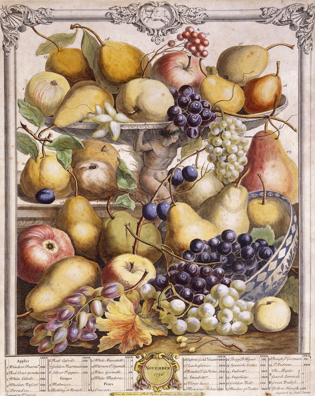 November 1732, met seizoensgebonden appels, peren, druiven enz., 1732 door Pieter Casteels