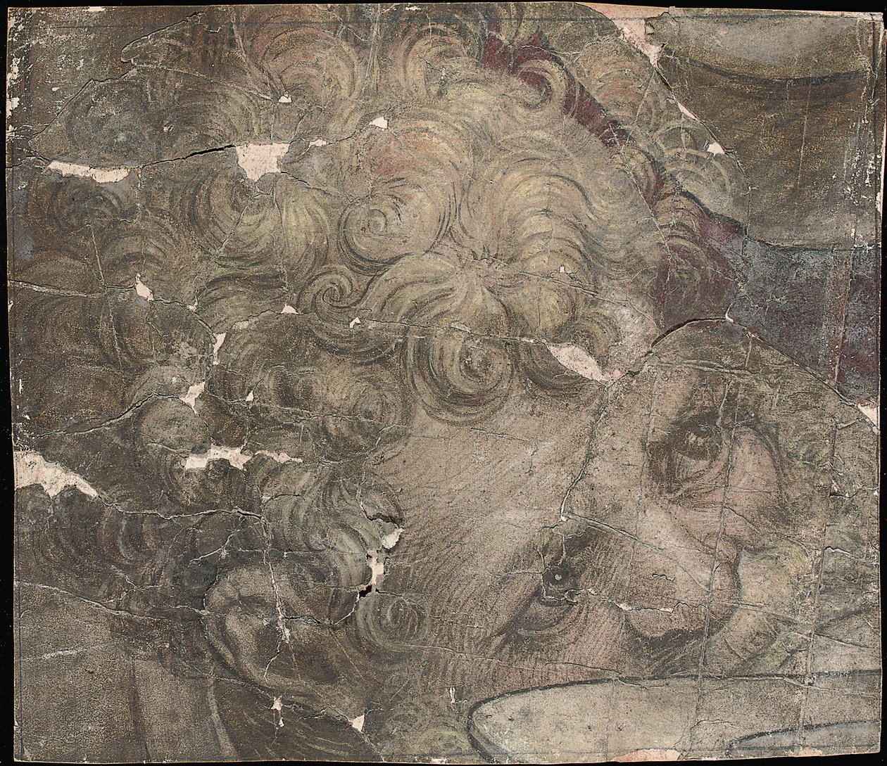 Hoofd van een bebaarde man die omhoog kijkt door Pieter Coecke van Aelst
