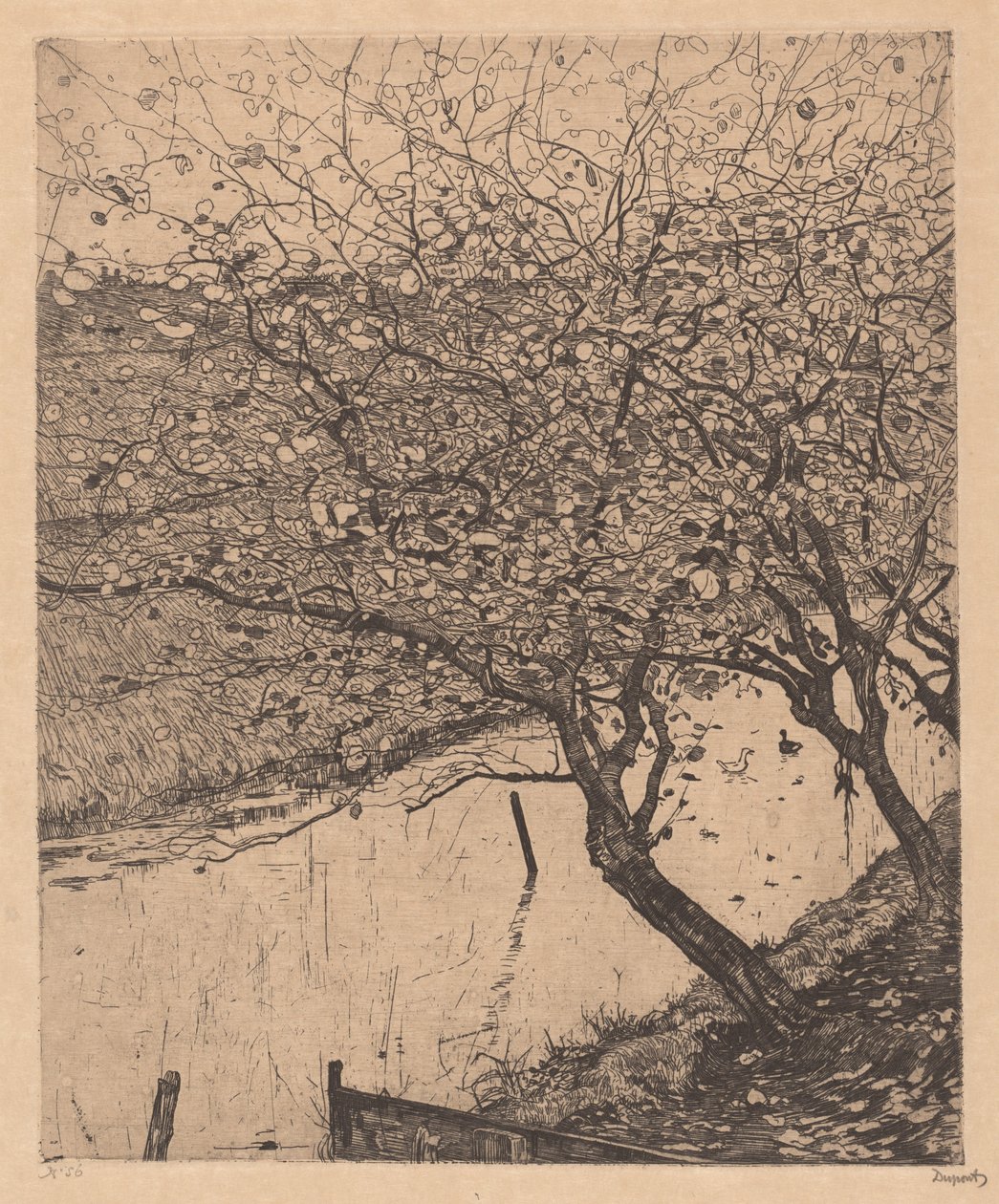 Appelbomen langs de Kant van een Sloot door Pieter Dupont