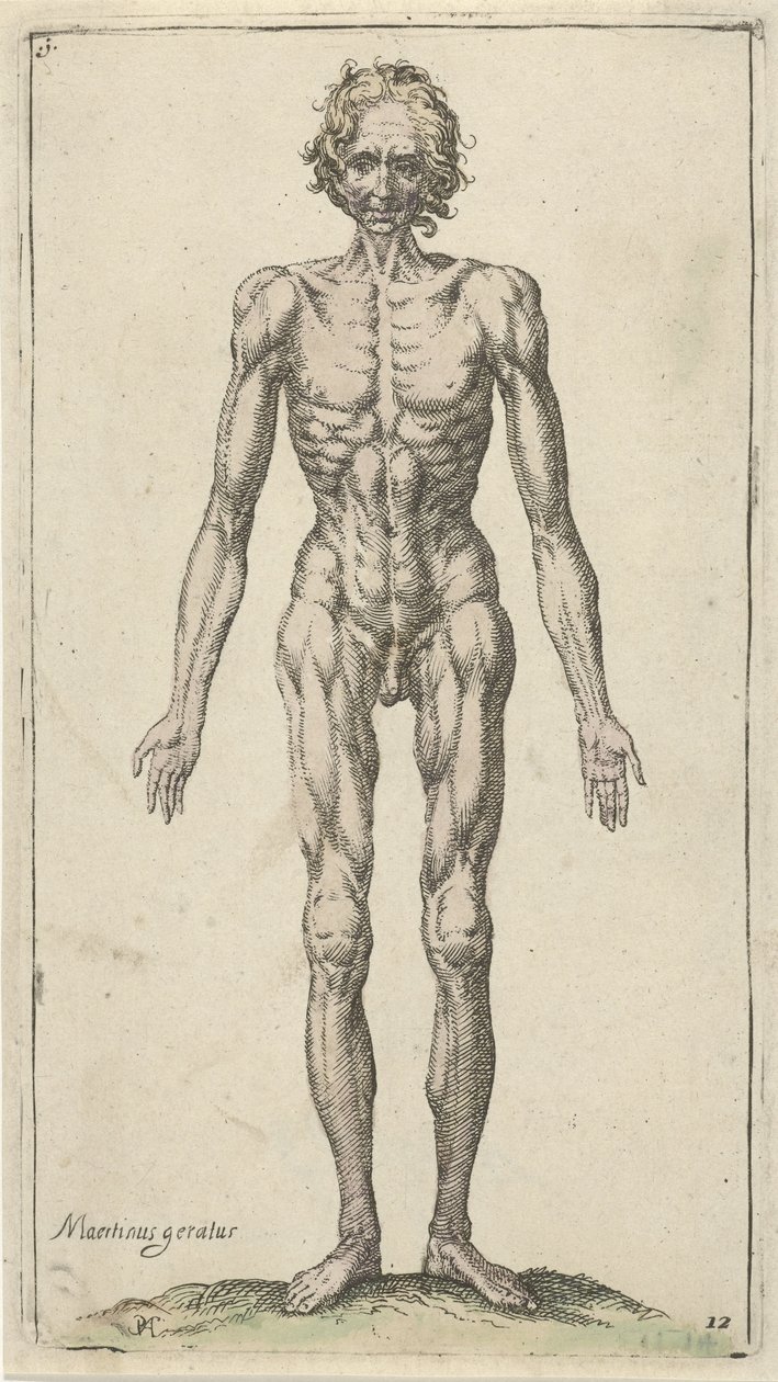 Studie van een naakte man door Pieter Feddes van Harlingen