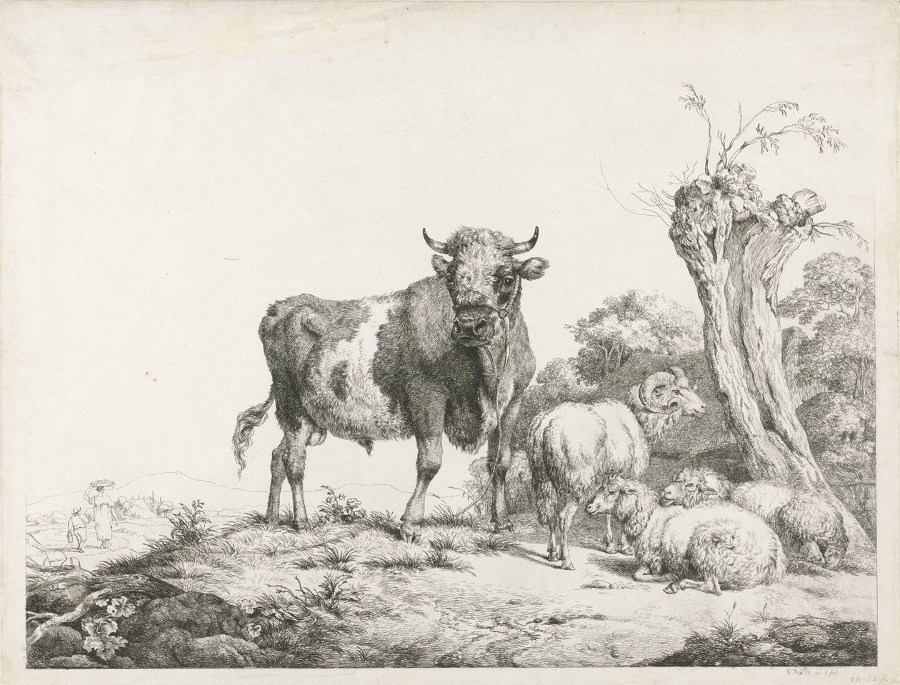 Een stier, een ram en twee liggende schapen bij een knotwilg door Pieter Gerardus van Os