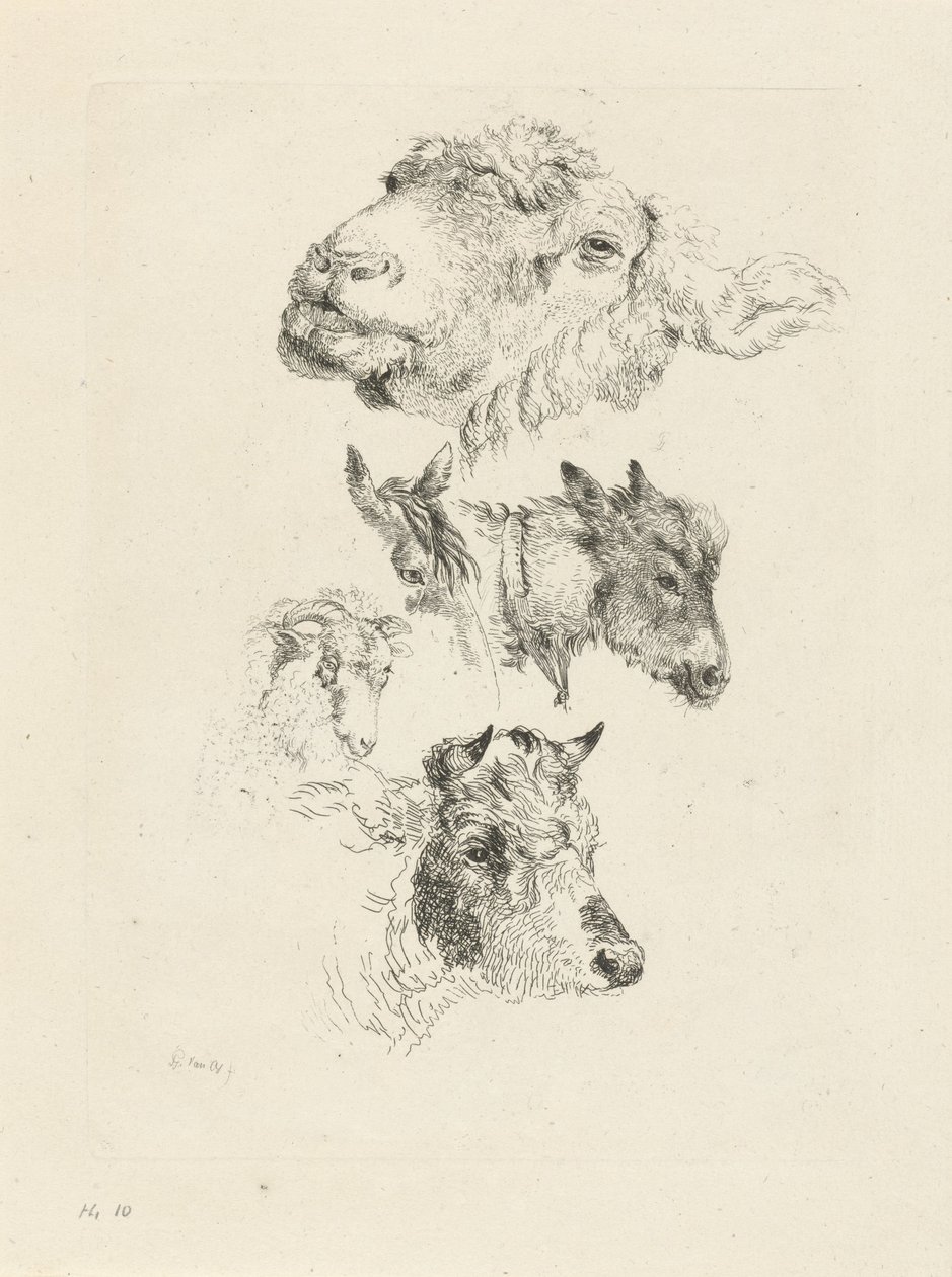 Studieblad met schaap-, paard-, ezel-, ram- en stierenkop door Pieter Gerardus van Os