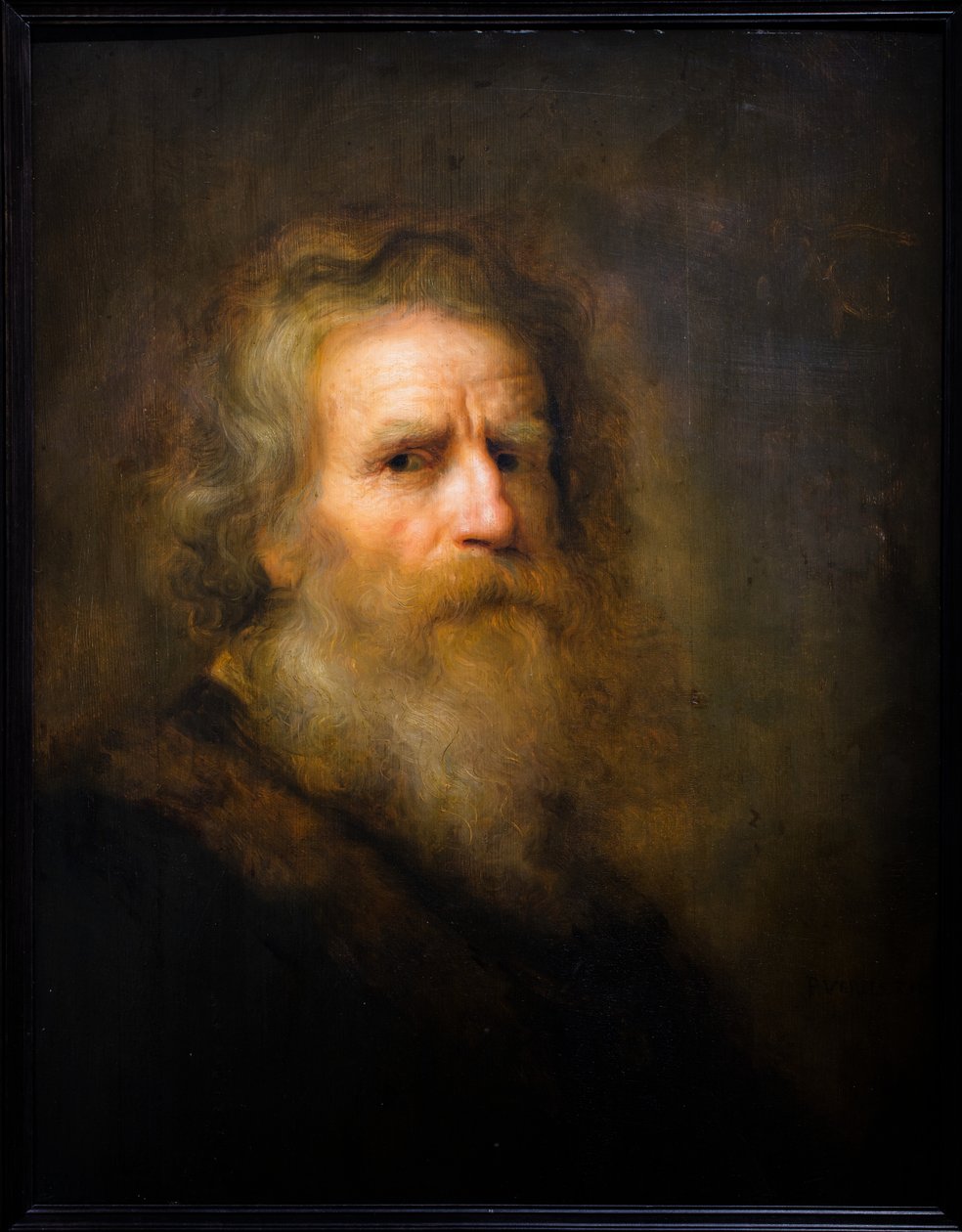 Hoofd van een oude man door Pieter Harmansz Verelst