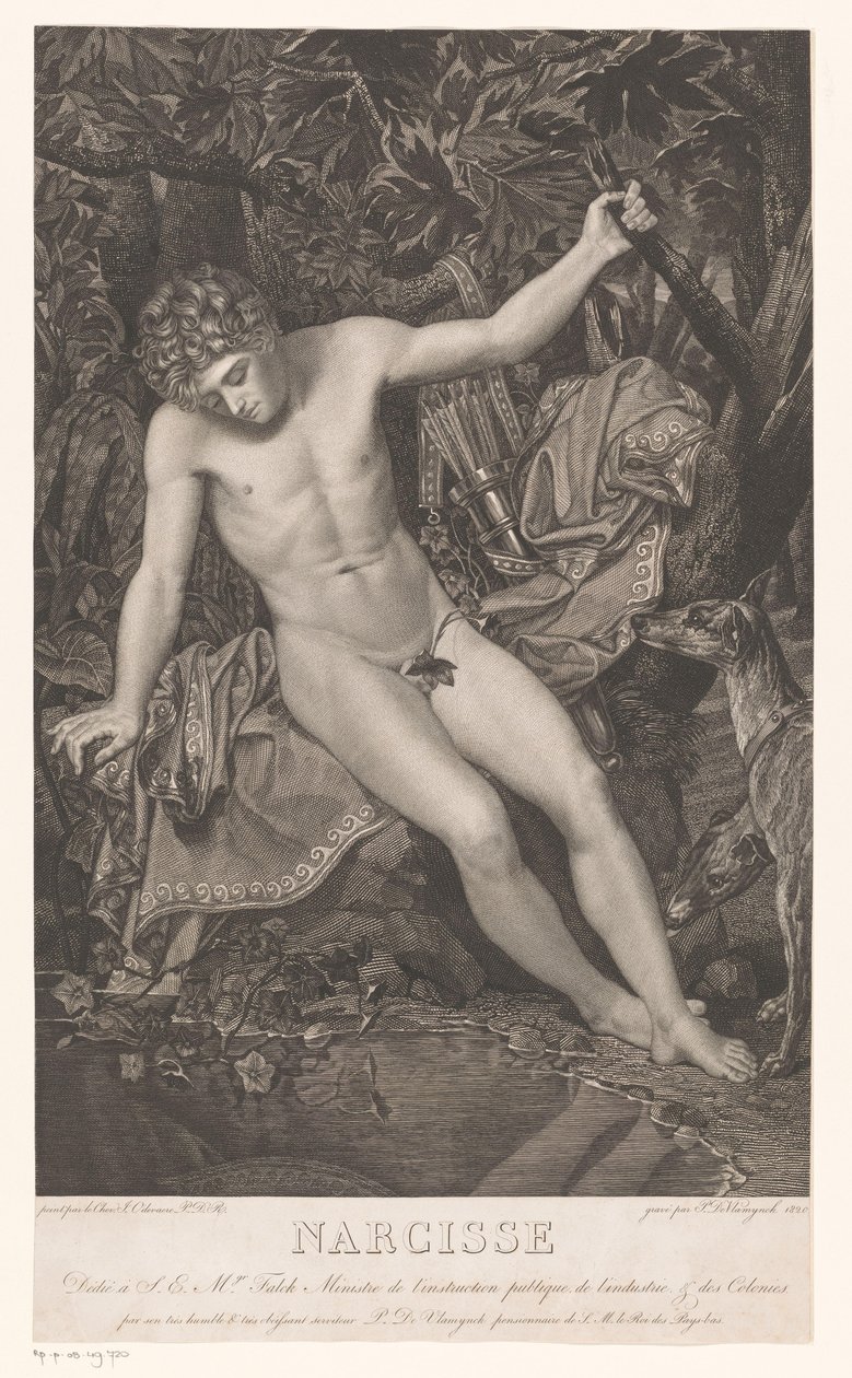 Narcissus aan de waterkant door Pieter Jan de Vlamynck