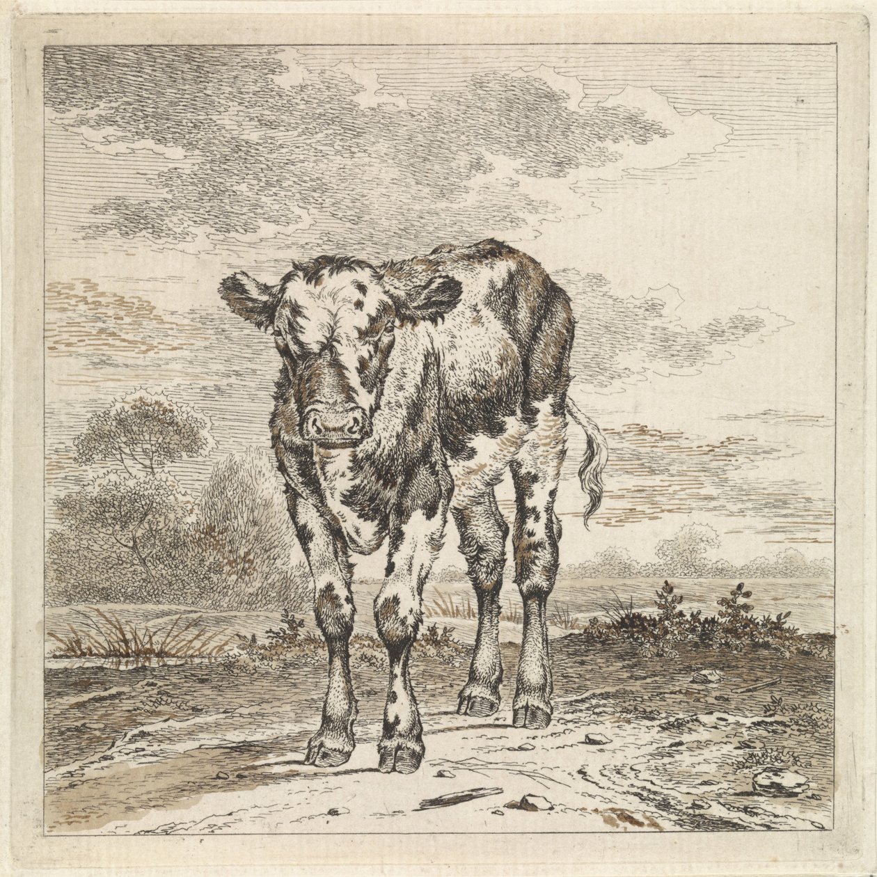 Landschap met kalf door Pieter Janson