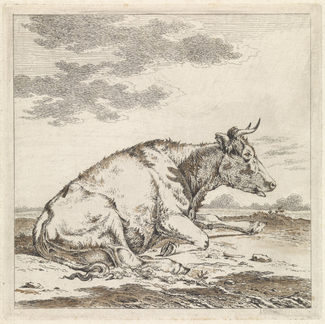 Liggende koe, naar rechts door Pieter Janson