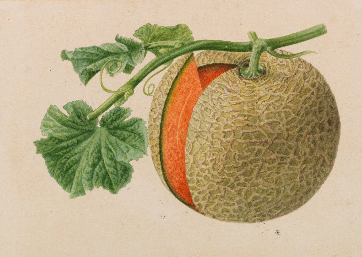 Originelen van publicaties over tuinbouw en boomteelt, 1878-1881 door Pieter Joseph de Pannemaeker