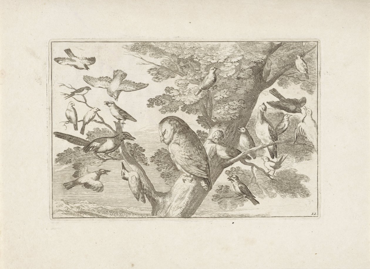 Uil en andere vogels in boom door Pieter Schenk (I) (attributed to)