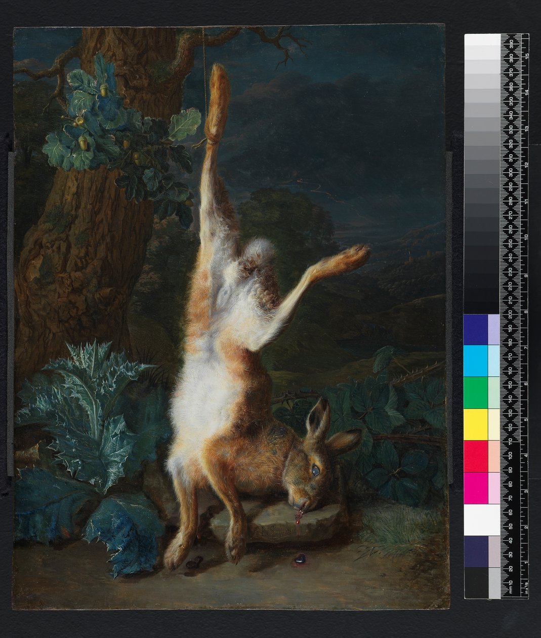 Een dode haas, voor 1782 door Pieter Snyers