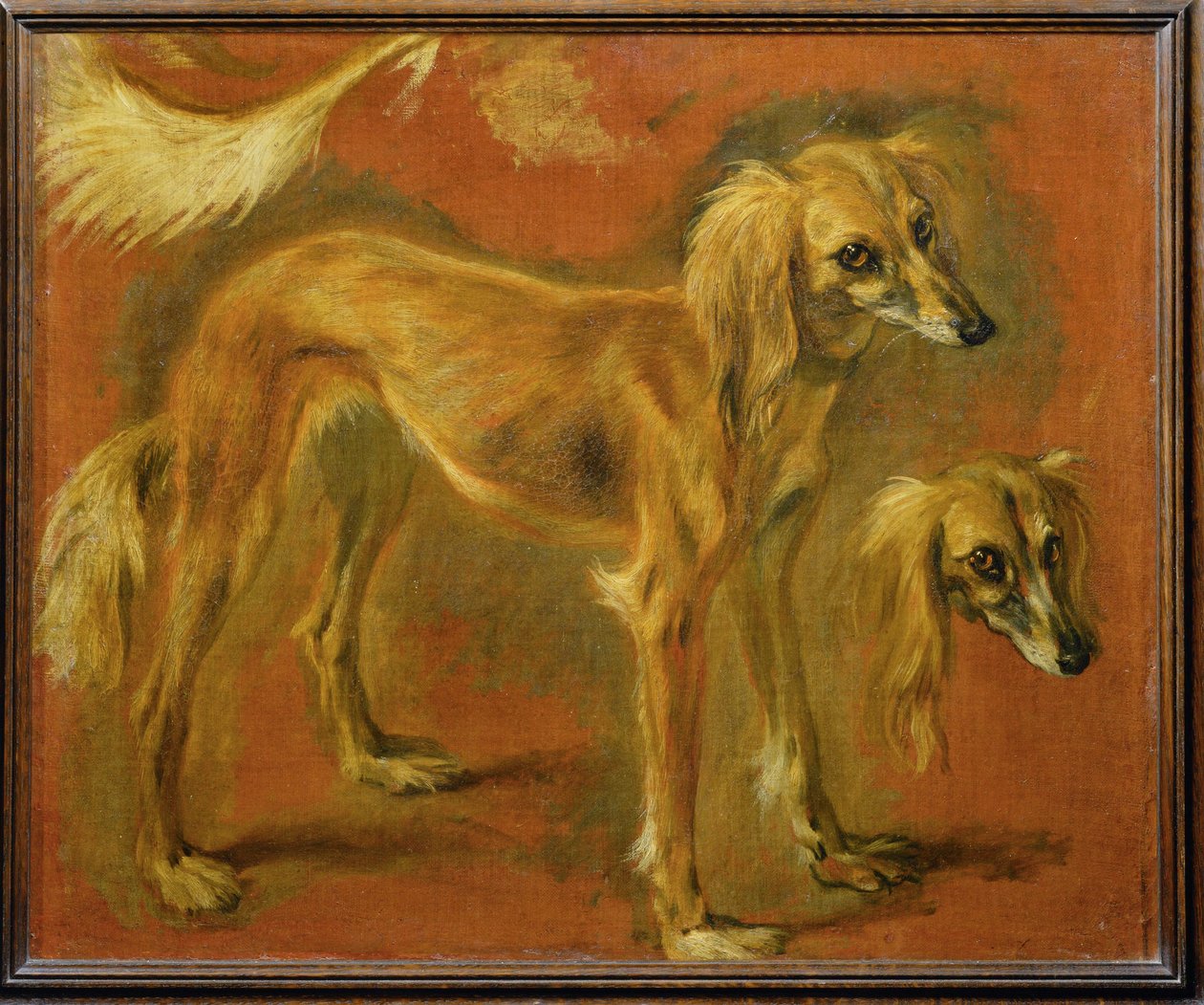 Een windhond (schilderij op canvas) door Pieter or Peter Boel
