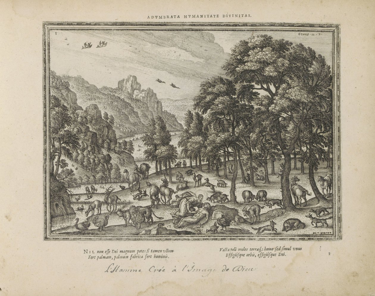 Schepping van de mens door Pieter van der Borcht (I)