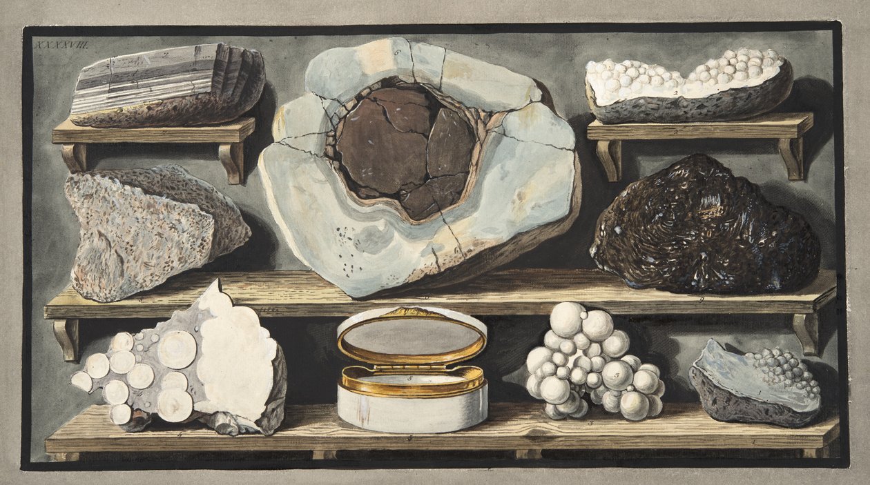 Specimens van curieuze stenen gevonden door de auteur op de Vesuvius, Plaat XXXXVIII, uit 