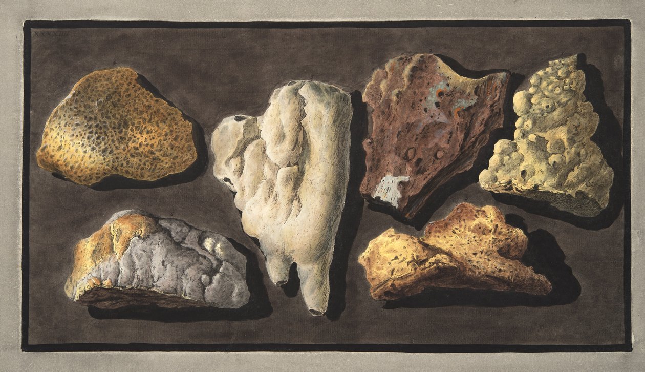 Specimens van vulkanisch materiaal genomen uit de krater van de Vesuvius, Plaat XXXXIV, uit 
