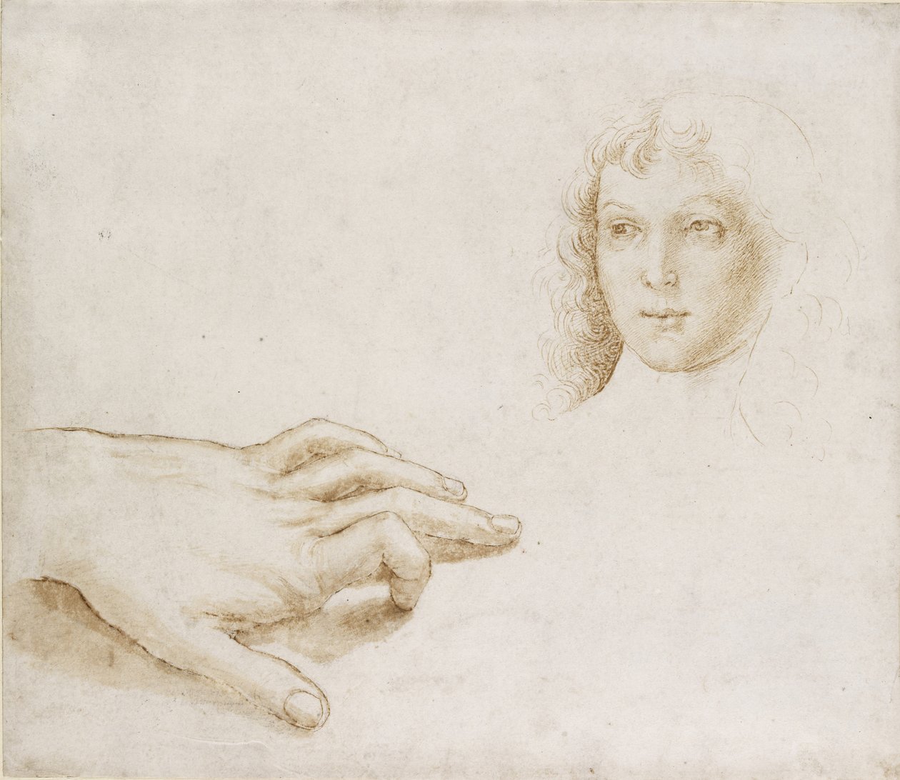 Studies van een Hoofd en een Hand, WA1846.8 door Pietro Perugino