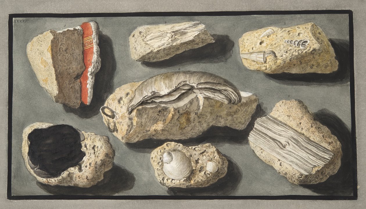 Specimens van Tufa gevonden in en rond Herculaneum, Plaat XXXXV, uit 