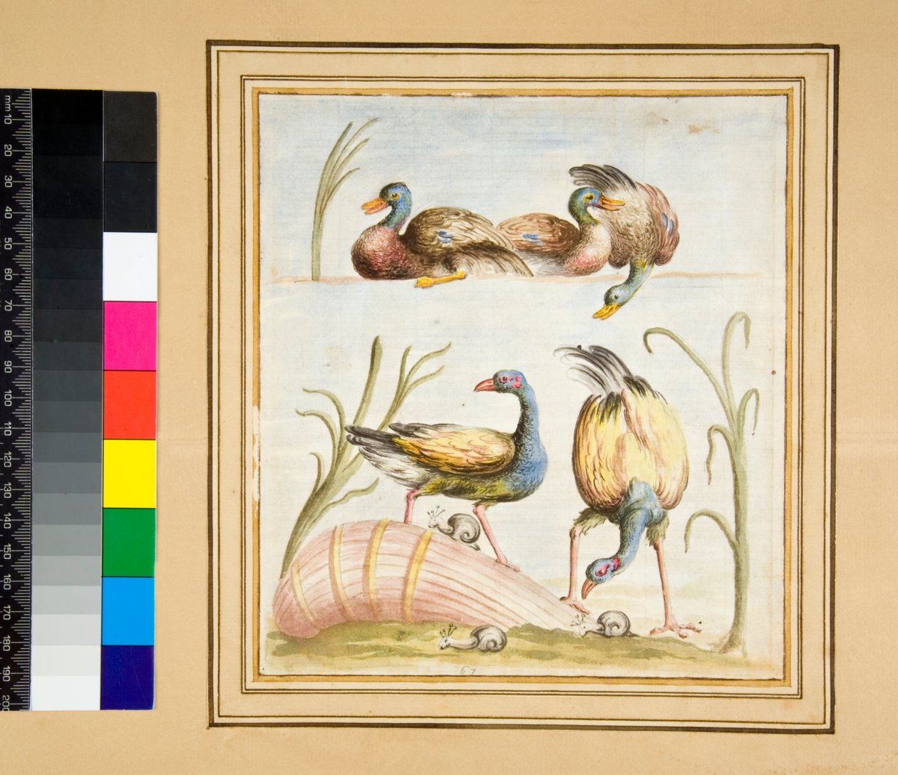 Kopie van een mozaïek met vogels door Pietro Santi Bartoli