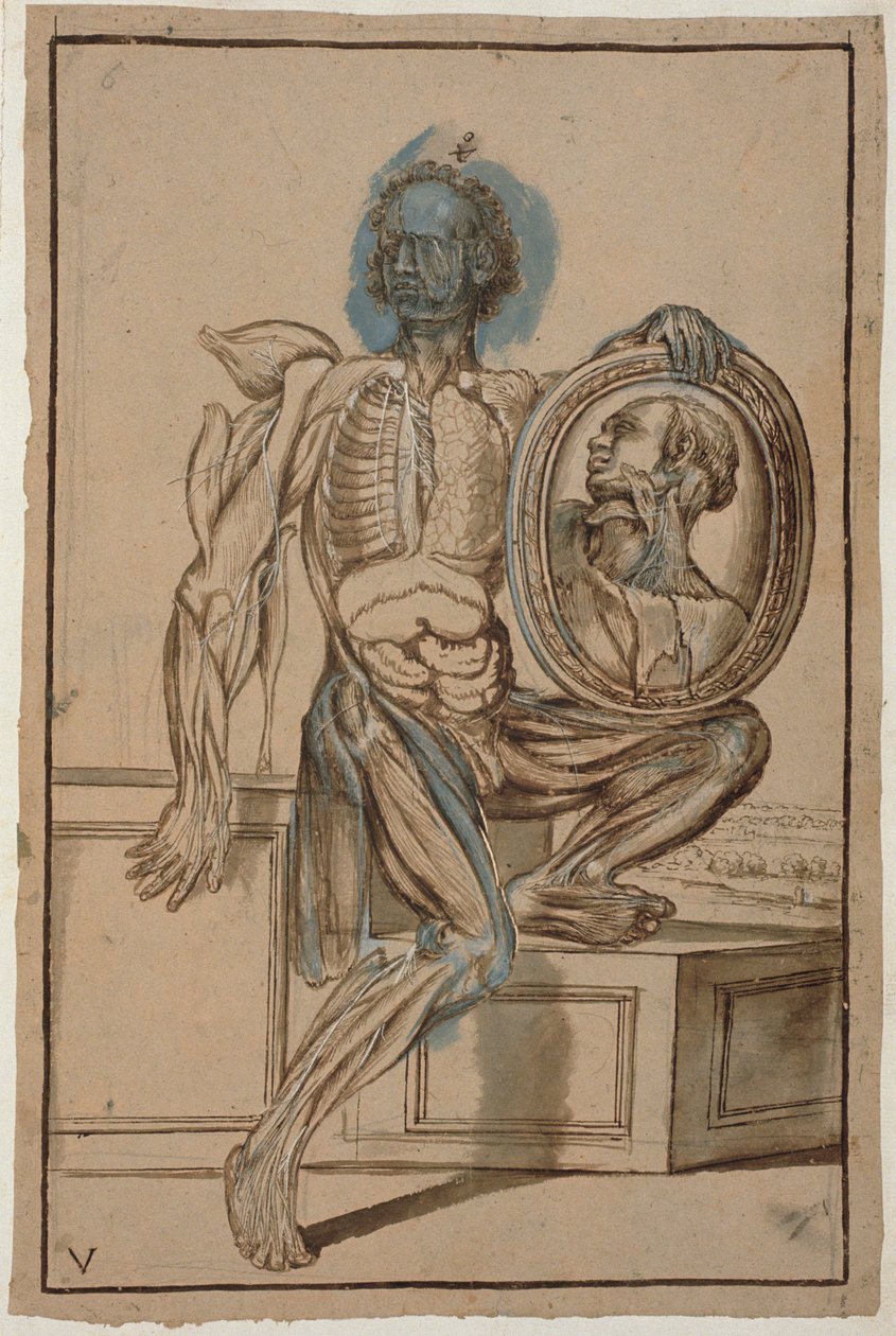 Ms Hunter 653 Plaat V Anatomische tekening, c.1610 door Pietro da Cortona
