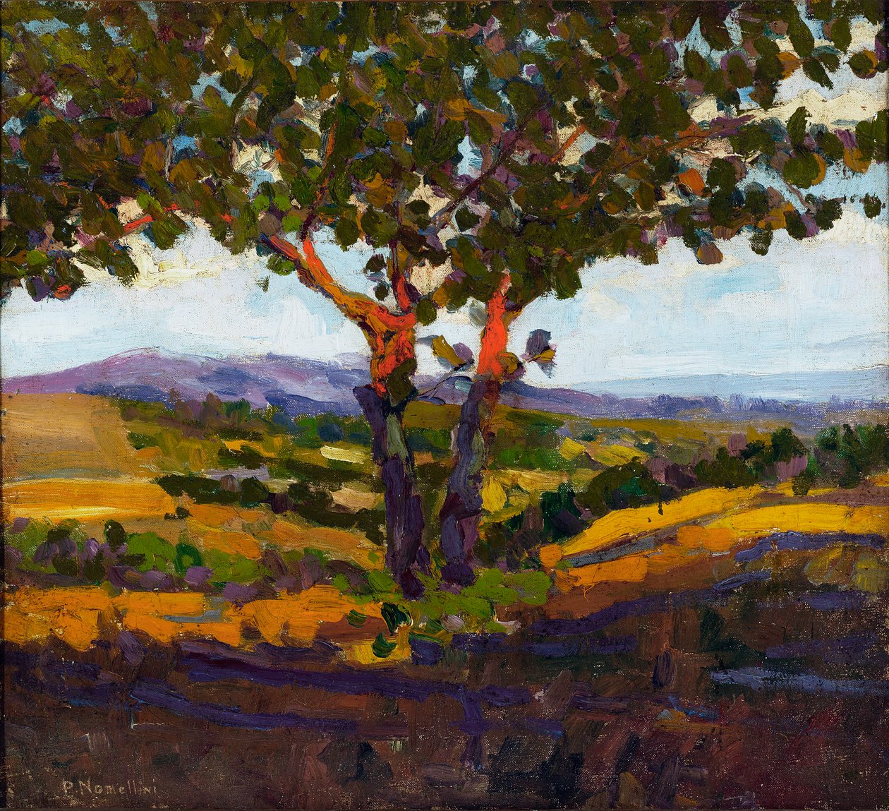 De begroeting van de zon, 1902 door Plinio Nomellini