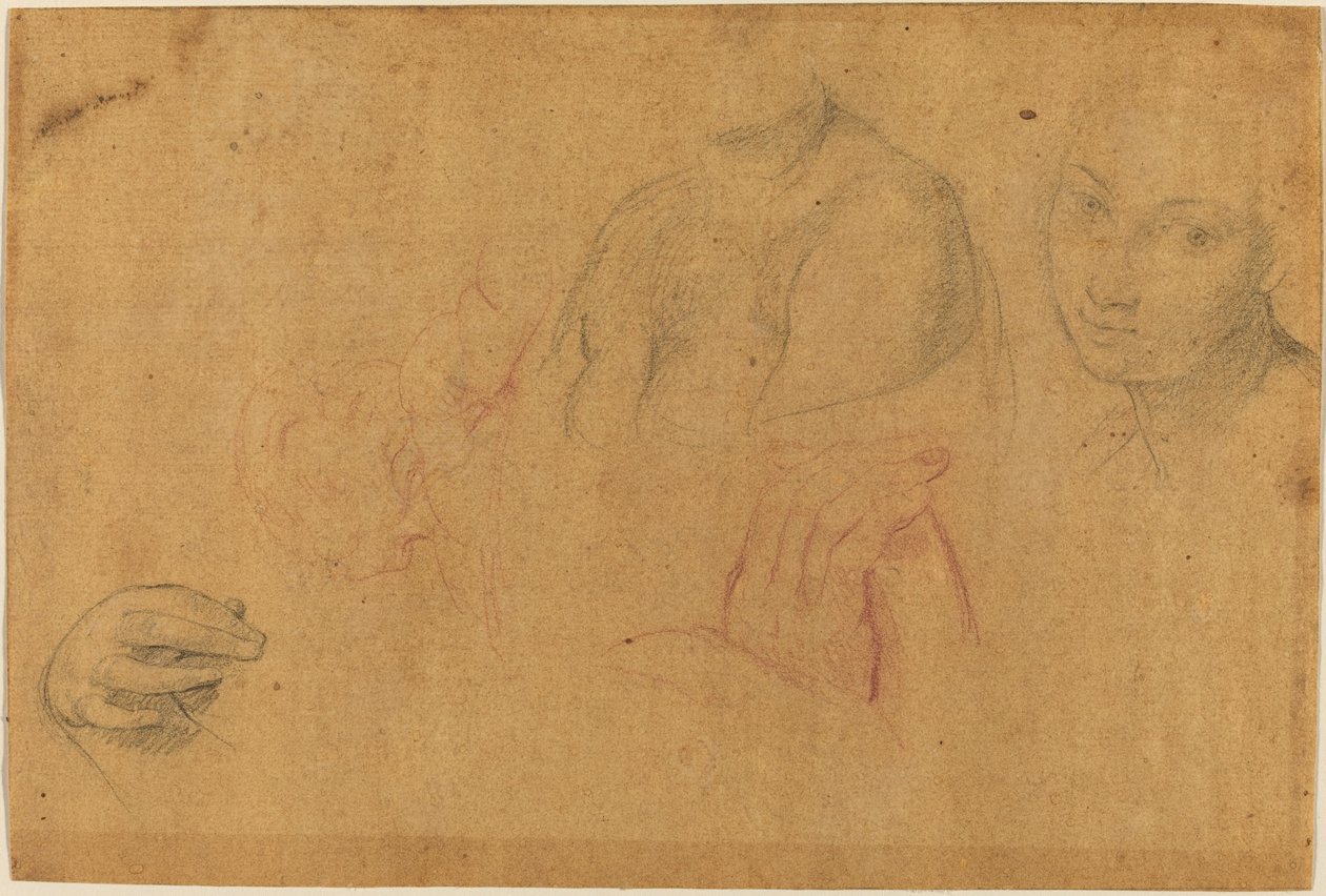 Schetsen van Hoofden en Handen door Pompeo Batoni