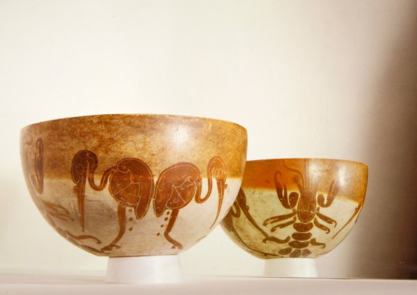 Schaal met aquatische motieven, Vera Cruz door Pre Columbian Pre Columbian