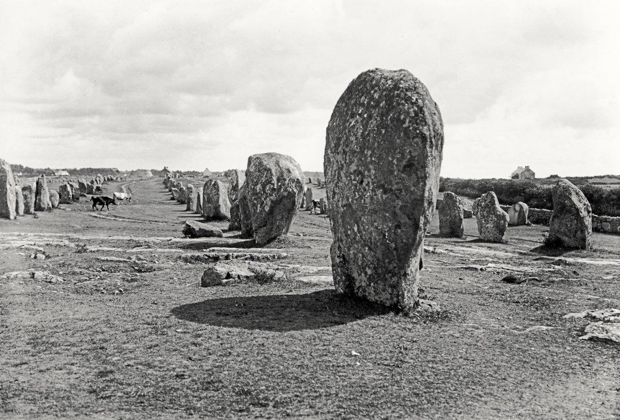 Uitlijning van staande stenen, megalithisch, 4e-3e millennium v.Chr. door Prehistoric