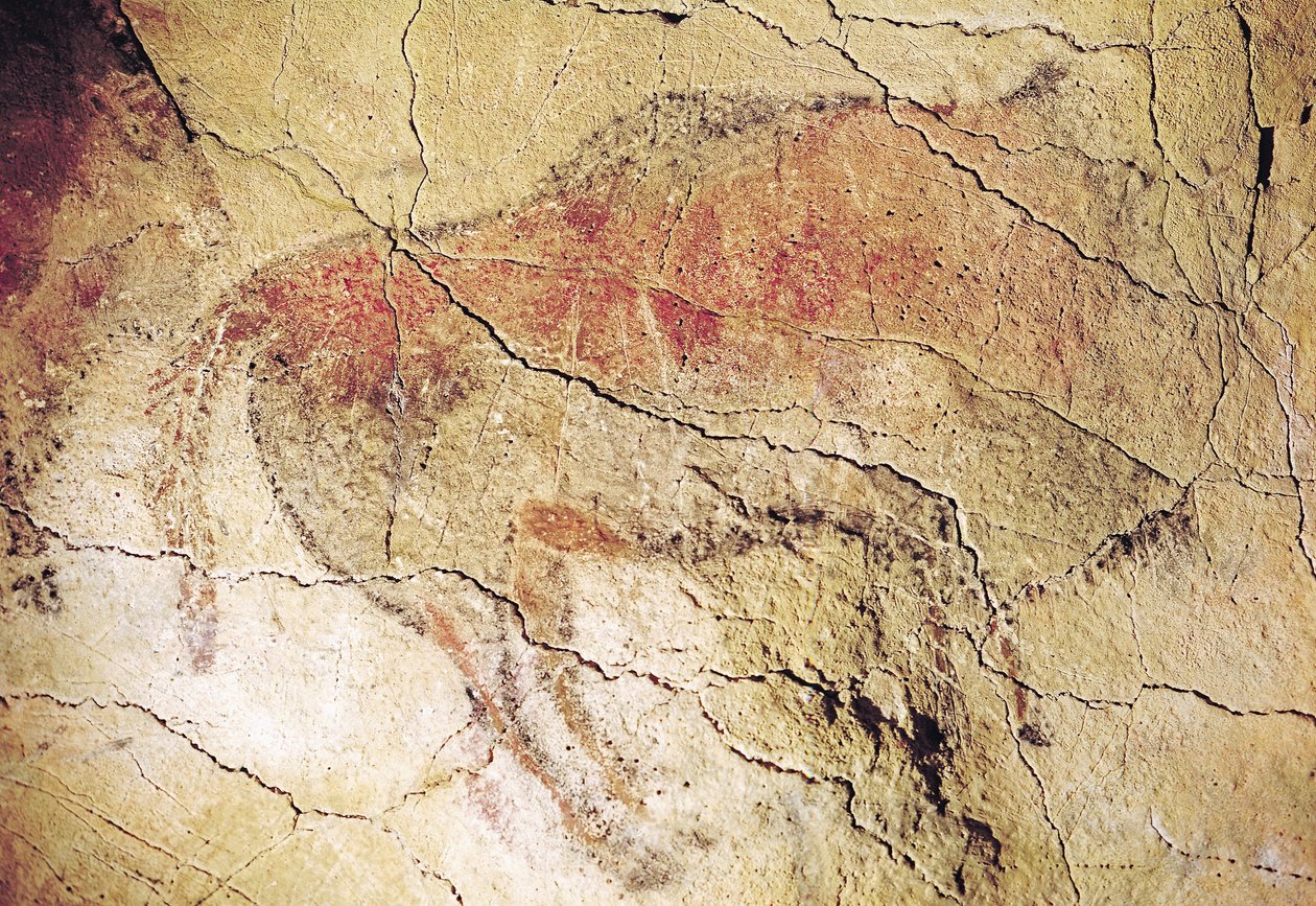 Bizon uit de Grotten van Altamira, c.15000 v.Chr. (grotschildering) door Prehistoric