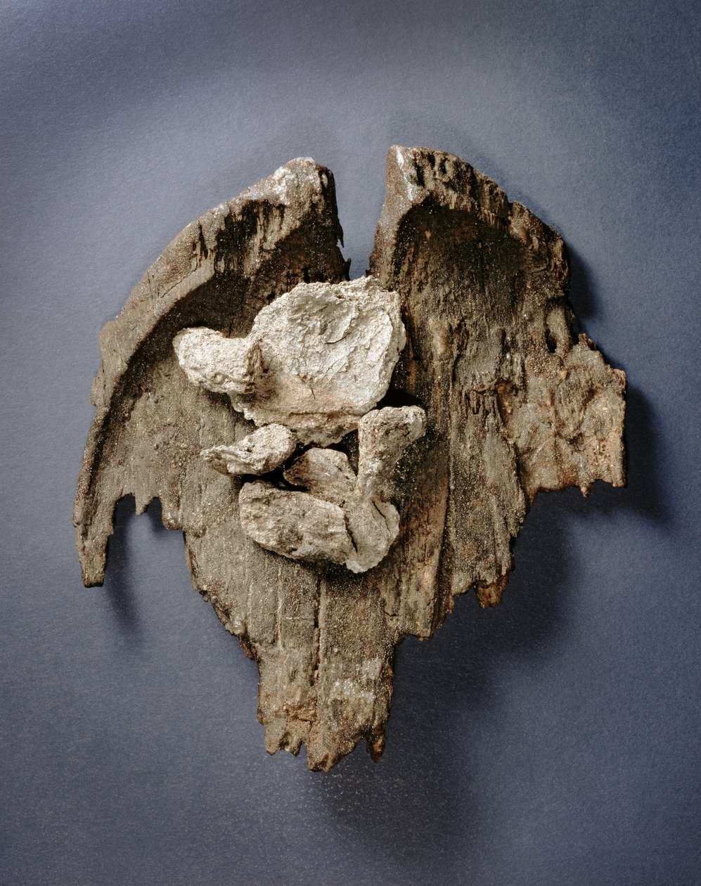 Fragment van een prehistorische schaal met resten van een stuk vlees, graf G73, Jericho door Prehistoric