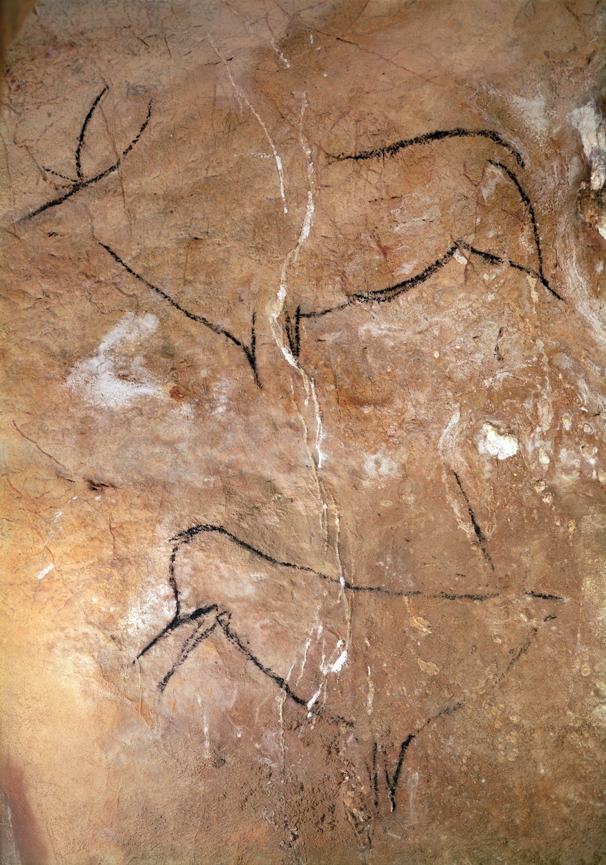Twee Herten, uit de Grotten van Altamira, c.15000 v.Chr. door Prehistoric