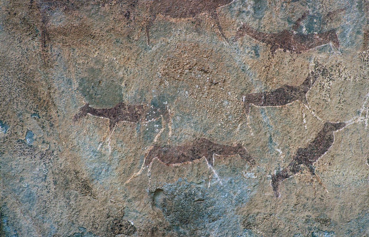 Dierfiguren (rotsschildering) door Prehistoric Prehistoric