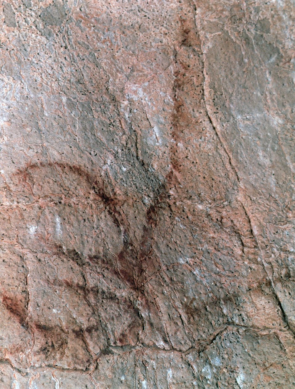  door Prehistoric Prehistoric