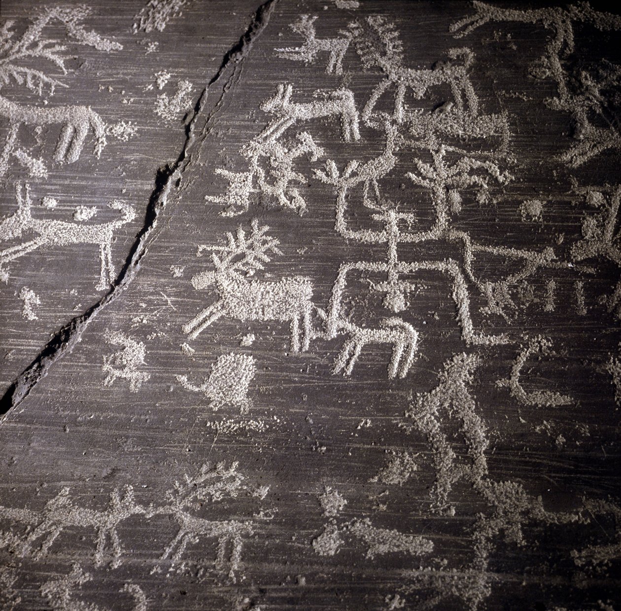 Beschaving van de Camunni, Prehistorie, rotstekeningen: grafsteen, details van de grote rots van Naquane, in Valcamonica (Val camonica). Museo archeologico de Milaan door Prehistoric Prehistoric