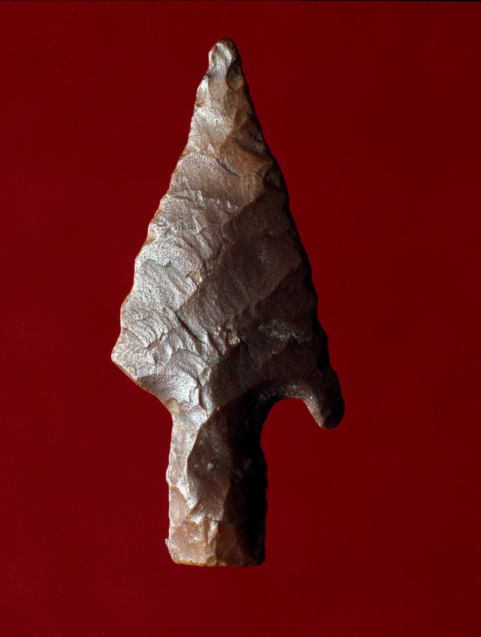 Egyptische oudheid: pijlpunten van de site van Fayoum (Fayyum of Fayum) in Egypte. Predynastieke periode. Verona, Museo Civico di Storia Naturale, Italië door Prehistoric Prehistoric