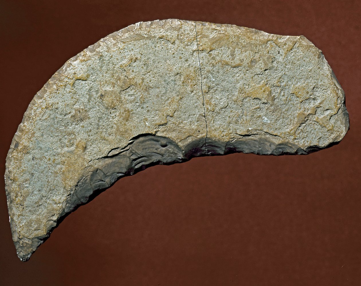Prehistorie: chopper-type gereedschap van lithische productie van Kjokkenmoddinger, Denemarken. Paleolithicum. Verona, Museo Civico di Storia Naturale, Italië door Prehistoric Prehistoric