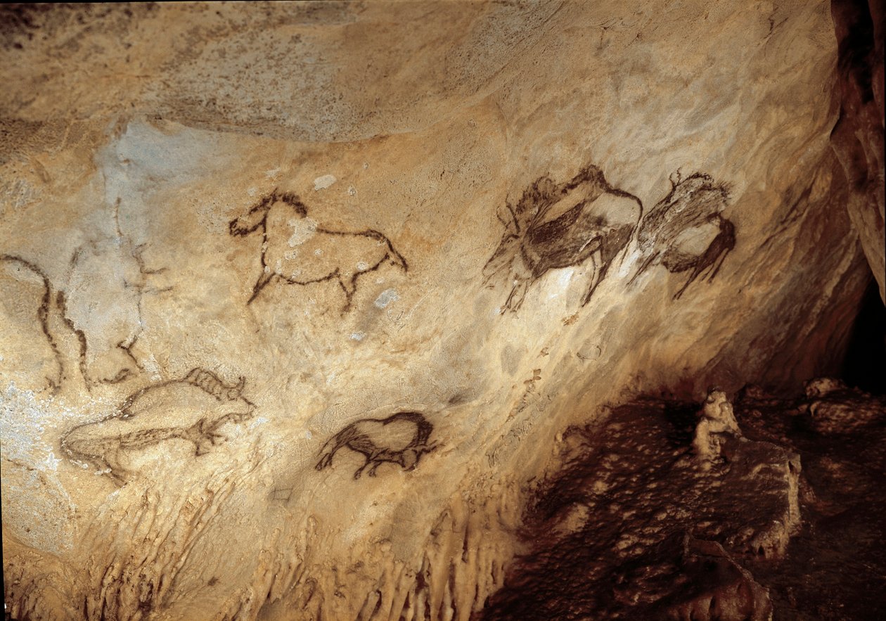 Prehistorie: "Bizon en paarden" Rotsschildering uit het Boven-Paleolithicum (Magdalenien) (13000 jaar geleden) Steentijd Santimamine Grot, Guernica, Spanje - Prehistorie: bizon en paarden - grotschildering, Boven-Paleolithicum (Magdalenien) (13.000 jaar ge door Prehistoric Prehistoric