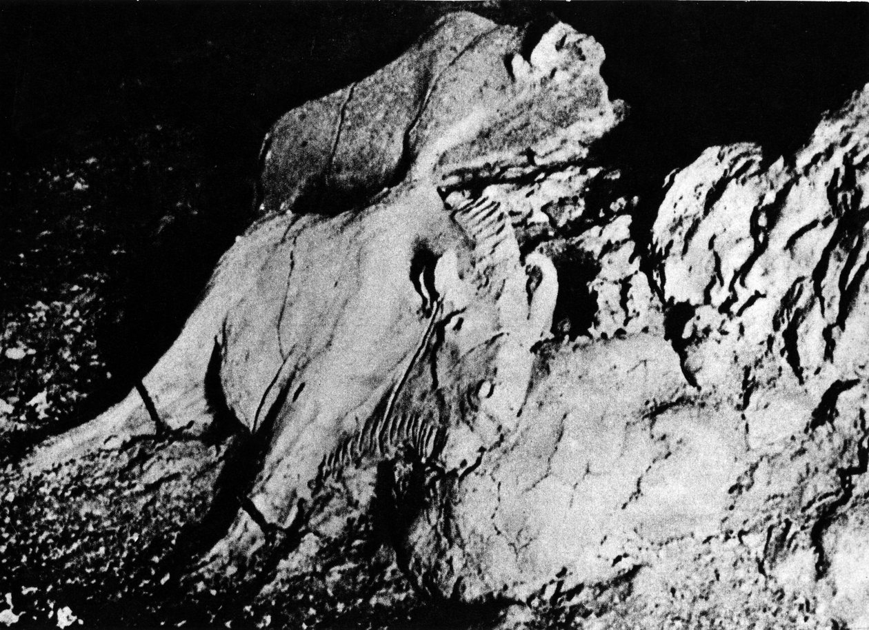 Prehistorie: Paleolithische kunst, twee kleibizon, grot van de Tuc d