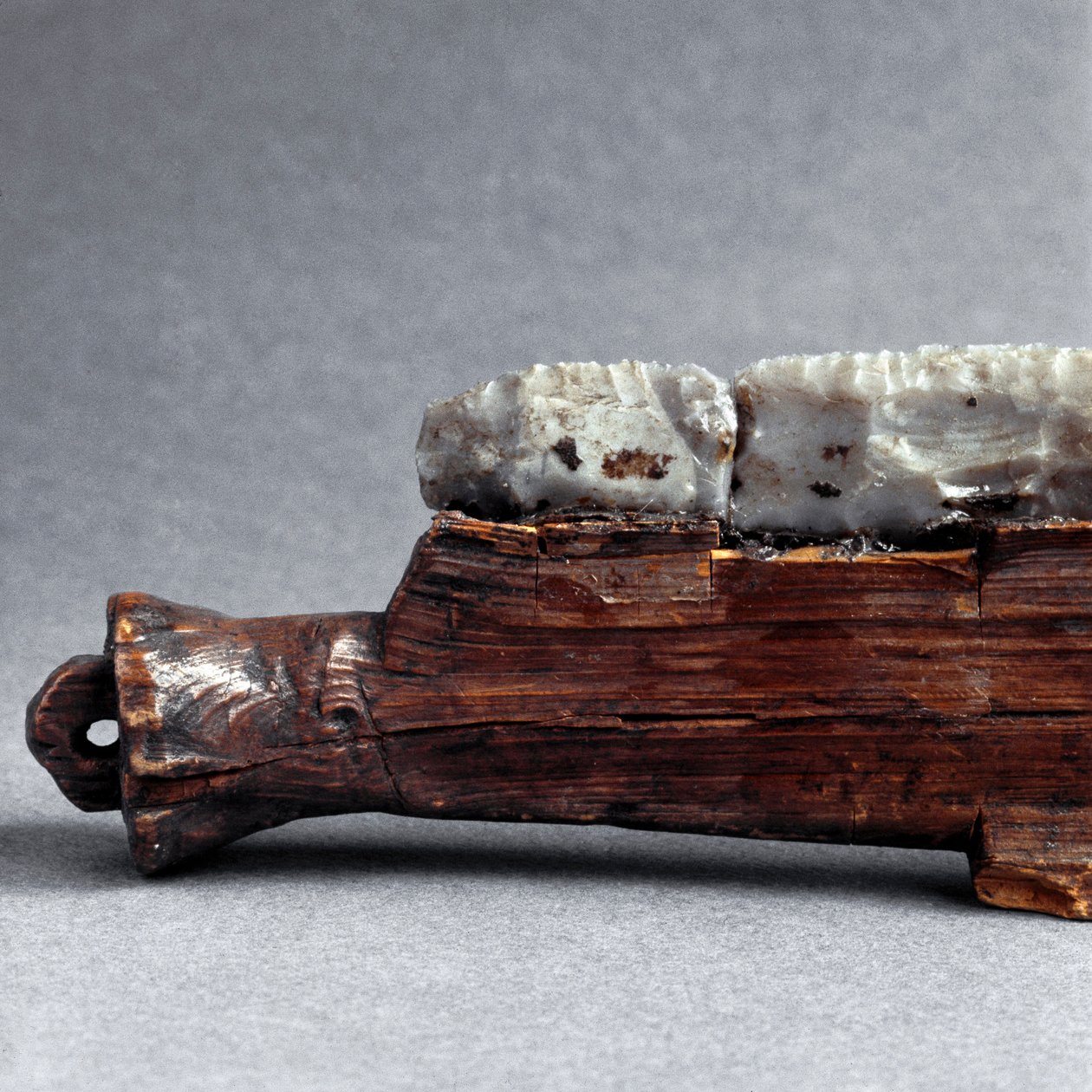 Prehistorie, Polada cultuur: zaag uit de Polada Tourbiere, Lonato. Bronstijd. Rome, Museo Nazionale Preistorico Etnografico Luigi Pigorini door Prehistoric Prehistoric