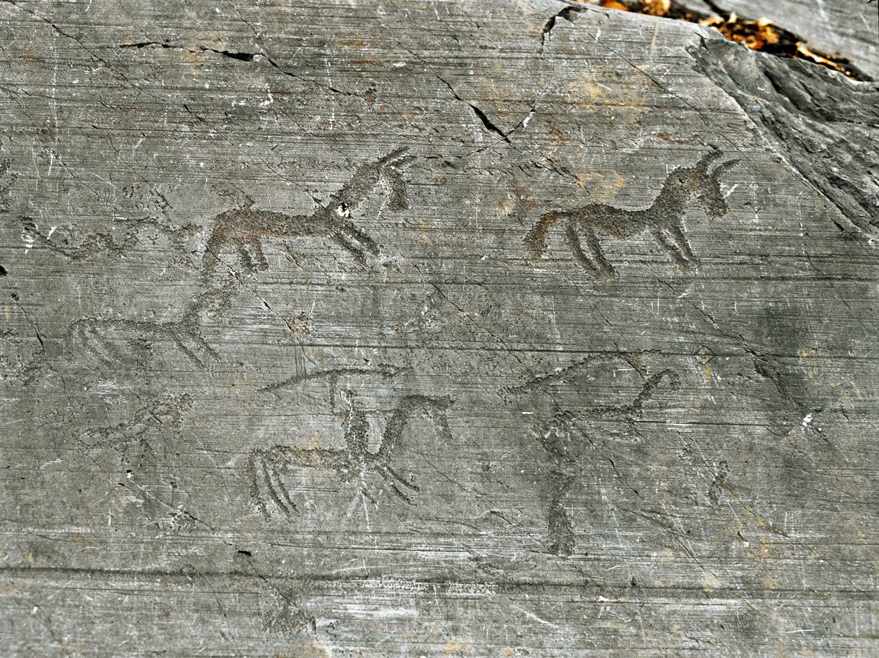 Prehistorie, beschaving van de Camunni, rotstekeningen: een grafrots met een jachtscène door Prehistoric Prehistoric
