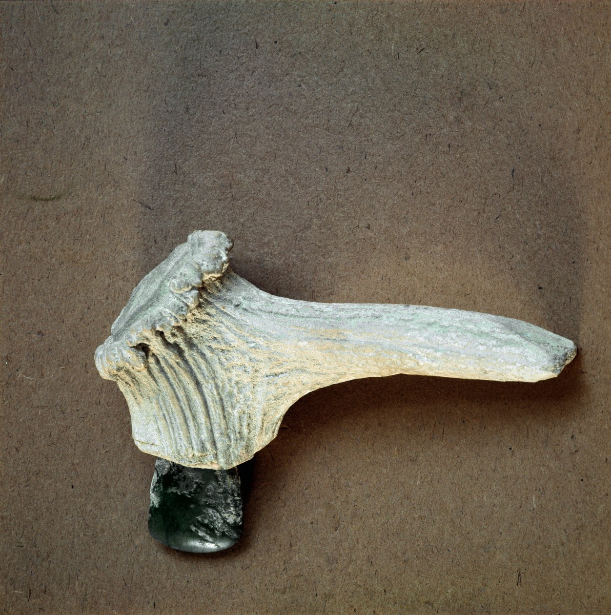 Prehistorie: groene stenen bijl met hertshoorn handvat uit de grot van Pollera (Finale Ligure), Ligurië. Midden-Neolithicum, Steentijd. Genua, Museo di Archeologia Ligure door Prehistoric Prehistoric