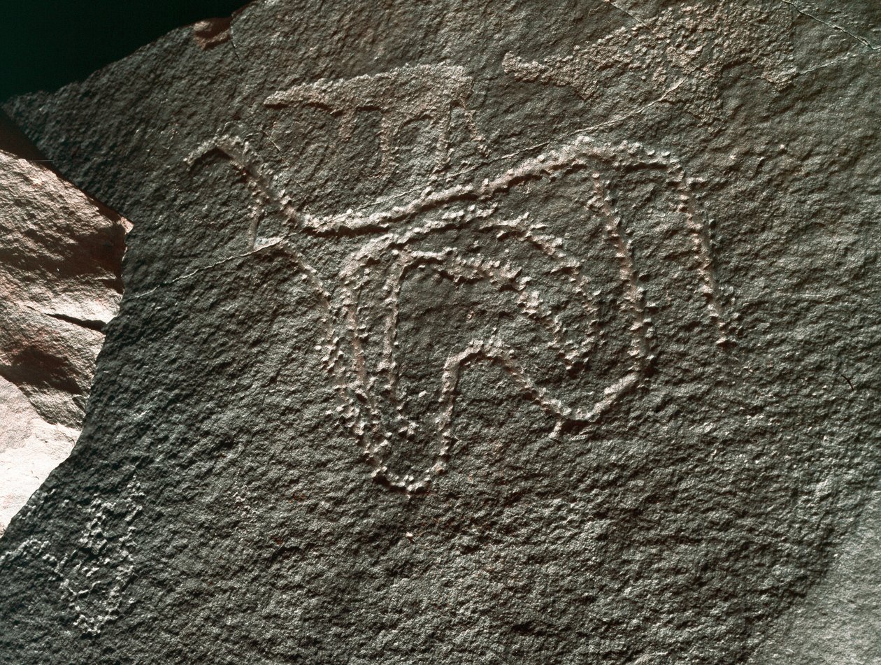 Prehistorie, rotstekeningen: een serieuze rots van de weergave van een vee. Tazina-stijl. Steentijd 5000-2000 v.Chr. Taghit, Haut plateau du Hoggar (Ahaggar), Algerije door Prehistoric Prehistoric