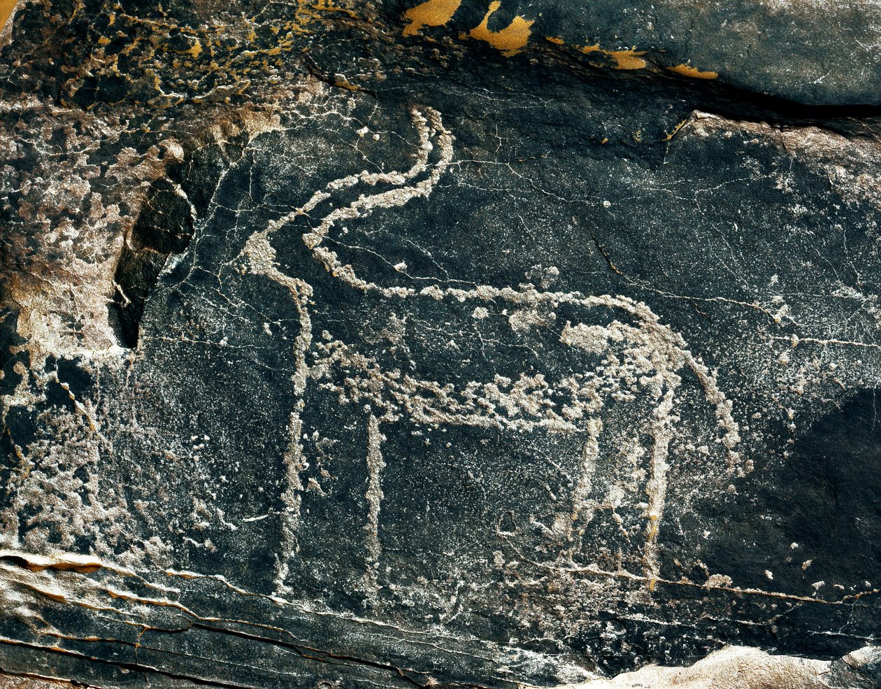 Prehistorie, rotstekeningen: grafrots met de voorstelling van een antilope door Prehistoric Prehistoric