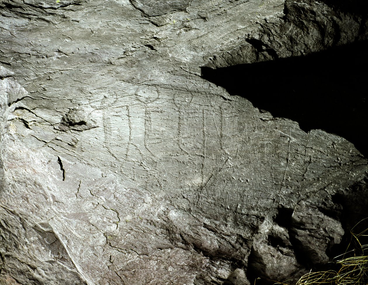Prehistorie, rotstekeningen: gravure van twee paar ossen die een kar trekken door Prehistoric Prehistoric