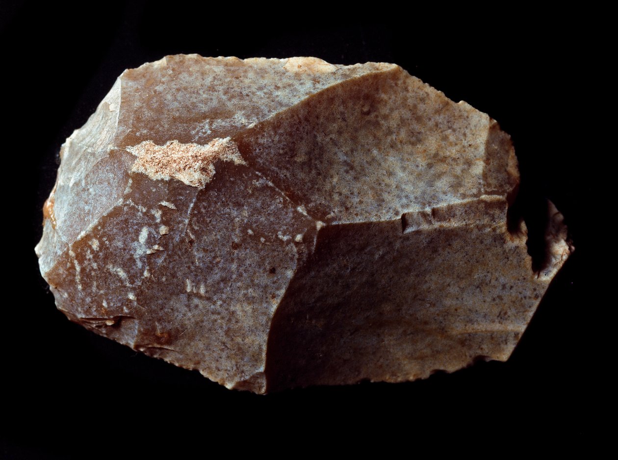 Prehistorie: schraper gesneden uit steen. Boven-Paleolithicum, Magdalene. Verona, Museo Civico di Storia Naturale, Italië door Prehistoric Prehistoric