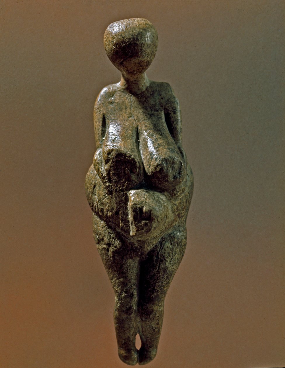 Prehistorie: standbeeld van Gravettiaanse vrouw van de site van Kostenki (Voronezh Oblast). 30000-25000 v.Chr. Boven-Paleolithicum, Steentijd. Sint-Petersburg, Peter de Grote Museum voor Antropologie en Etnografie, Rusland door Prehistoric Prehistoric