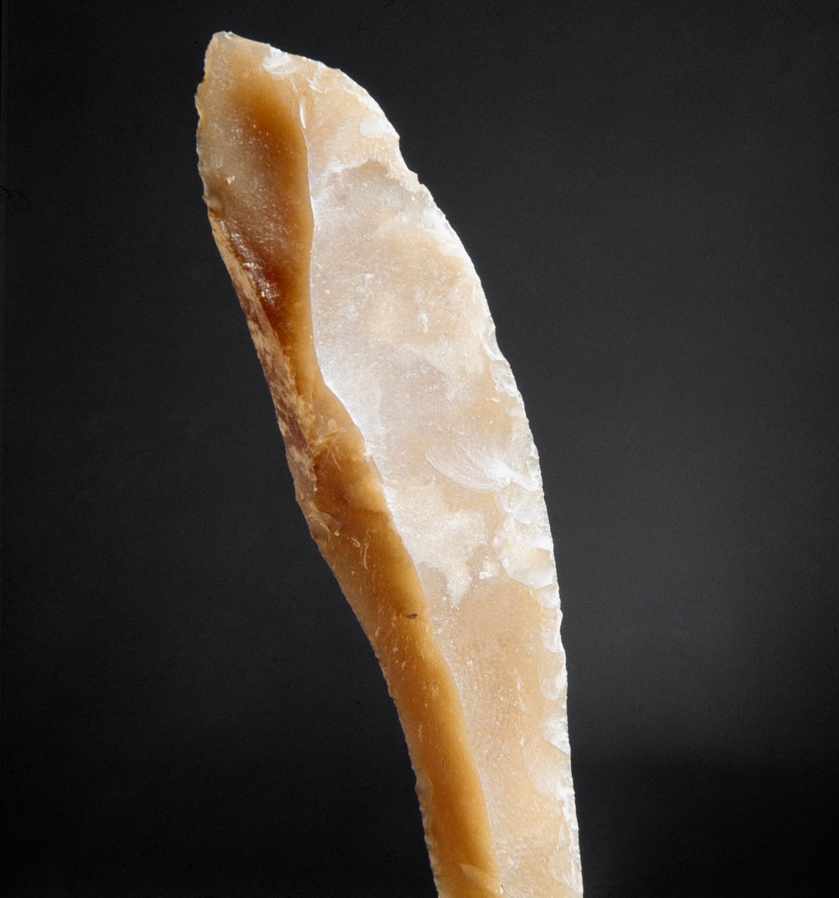 Prehistorie: vuursteenspits uit de Necropolis van Arene Candide, Ligurië. Boven-Paleolithicum, Steentijd door Prehistoric Prehistoric