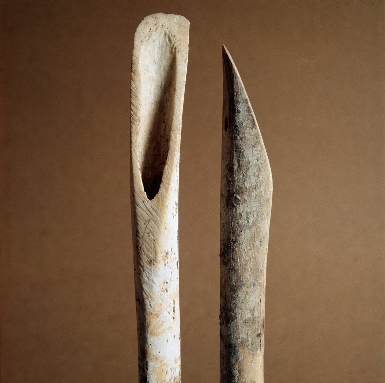 Prehistorie: gereedschappen om schors van scheenbeenderen van geiten en schapen te verwijderen uit de Necropolis van Arene Candide (Finale Ligurië), Ligurië. Midden-Neolithicum, Steentijd. Genua, Museo di Archeologia Ligure door Prehistoric Prehistoric