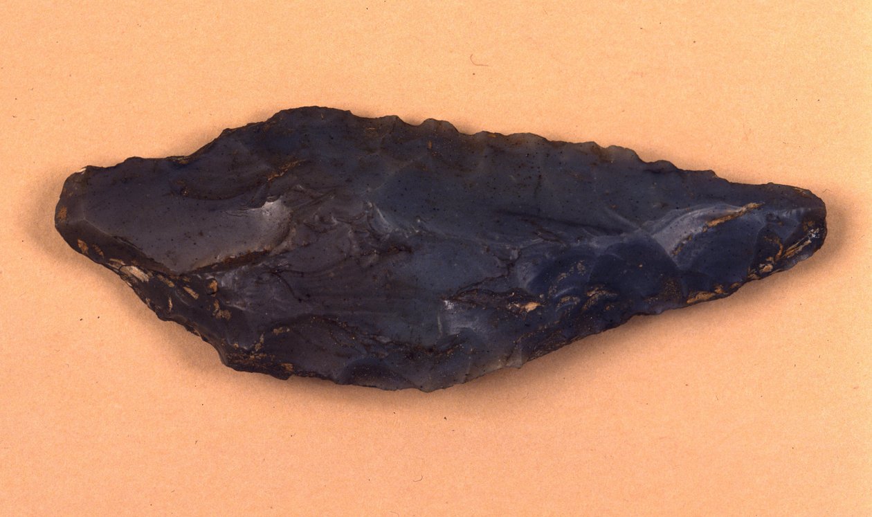 Stenen pijlpunten ontdekt in Isolino di Varese (Italië). door Prehistoric Prehistoric