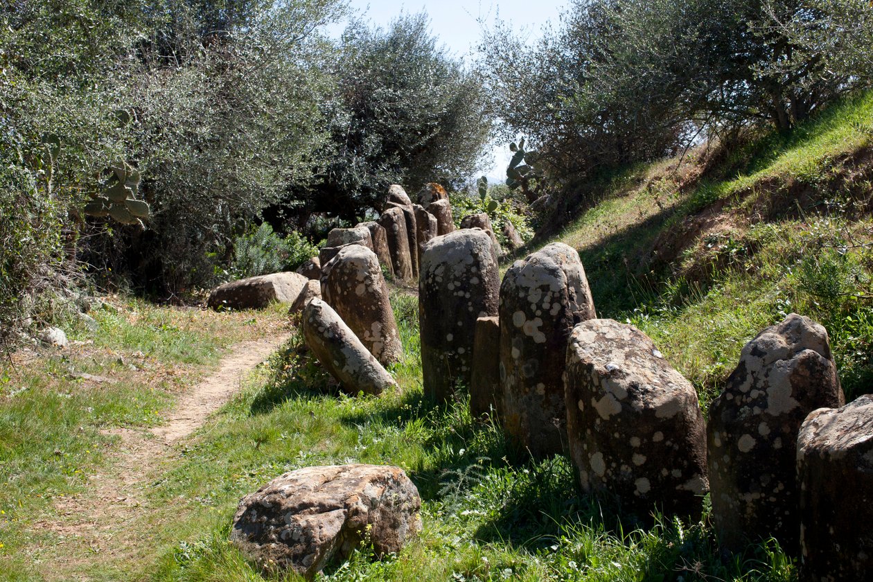 De archeologische site van cromlech M Zora, in Sidi El Yamani (Marokko). Neolithische grafheuvel (2000 v.Chr.), omringd door 167 monolieten. door Prehistoric Prehistoric