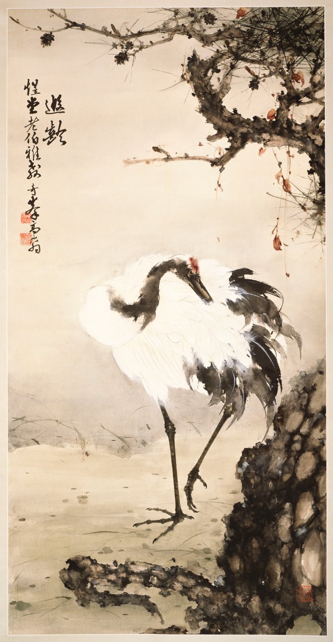 Kraanvogel onder een dennenboom door Qifeng Gao