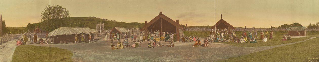 Maori Pa, Rotorua, Nieuw-Zeeland door R. P. Moore